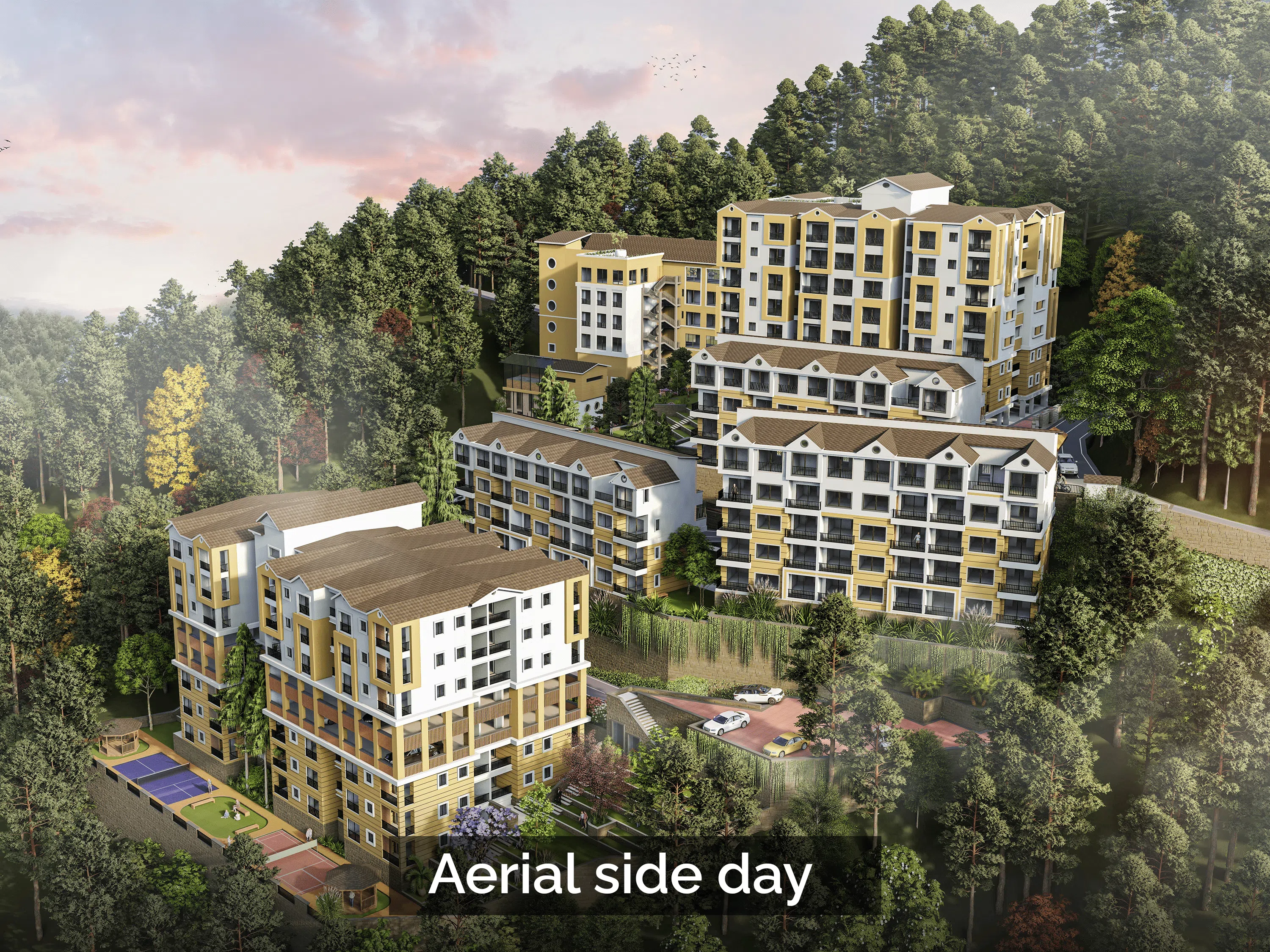 Tara Devi’s Enclave residential and commercial project image